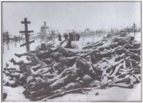 White European Holocaust, Update 7